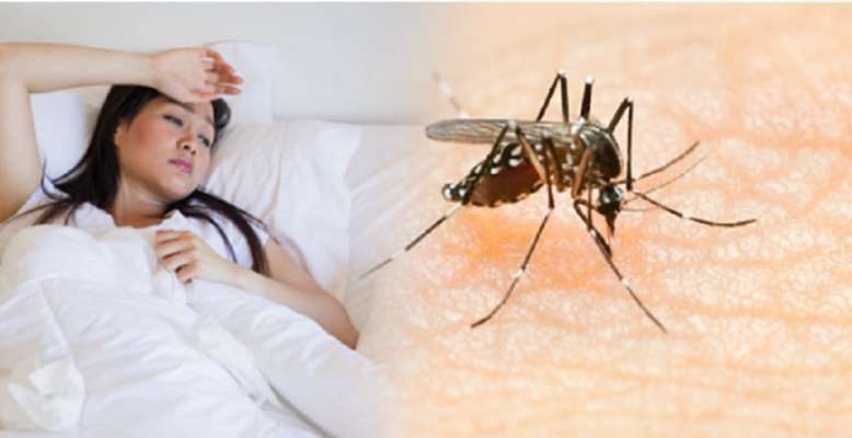 डेंगू बुखार