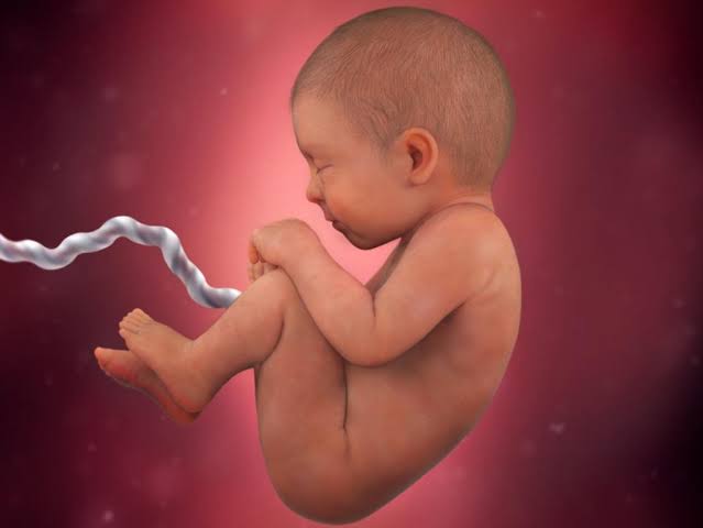 गर्भ में 6 महीने का बच्चा